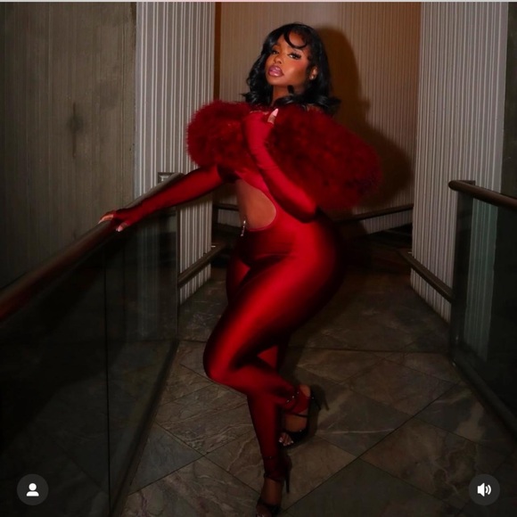 Bois Camp Fur Jumpsuit - Picture 2 of 3